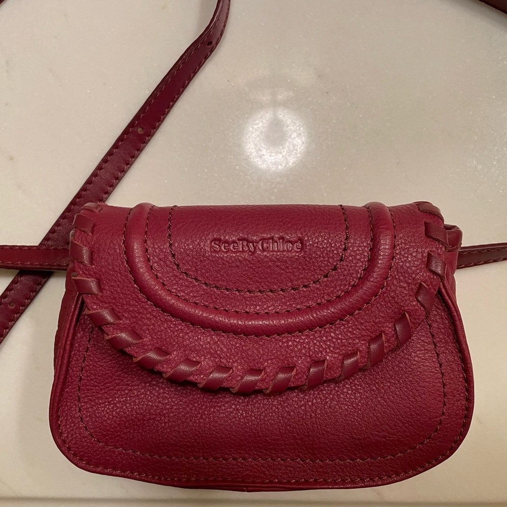 See By Chloe  Leather Convertible Bag